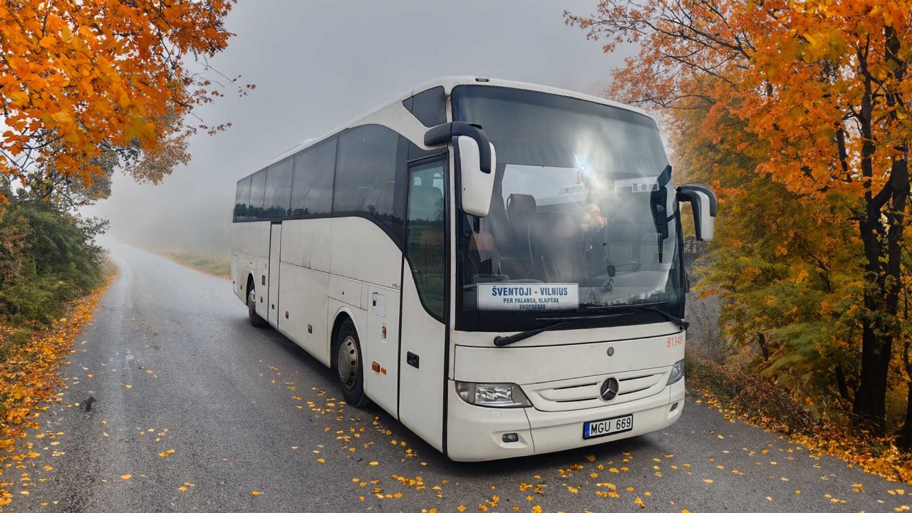 IMG_20240301_115829_ai